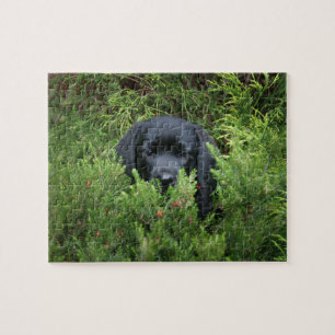 Black Lab Puppy Jigsaw Puzzle