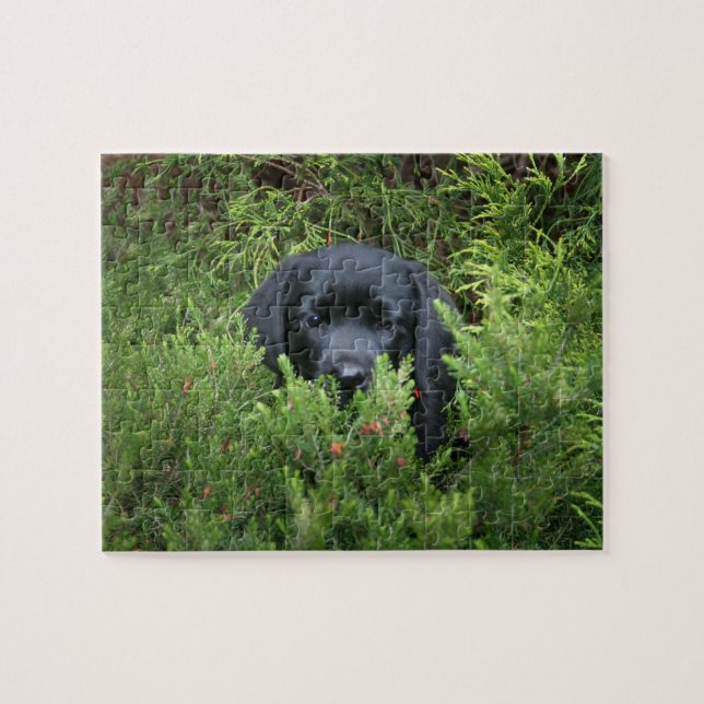 Black Lab Puppy Jigsaw Puzzle (Horizontal)