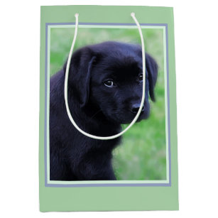 Black Lab Puppy - Labrador Retriever - Cute Puppy Medium Gift Bag