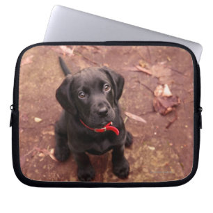 Black Lab Puppy Laptop Sleeve
