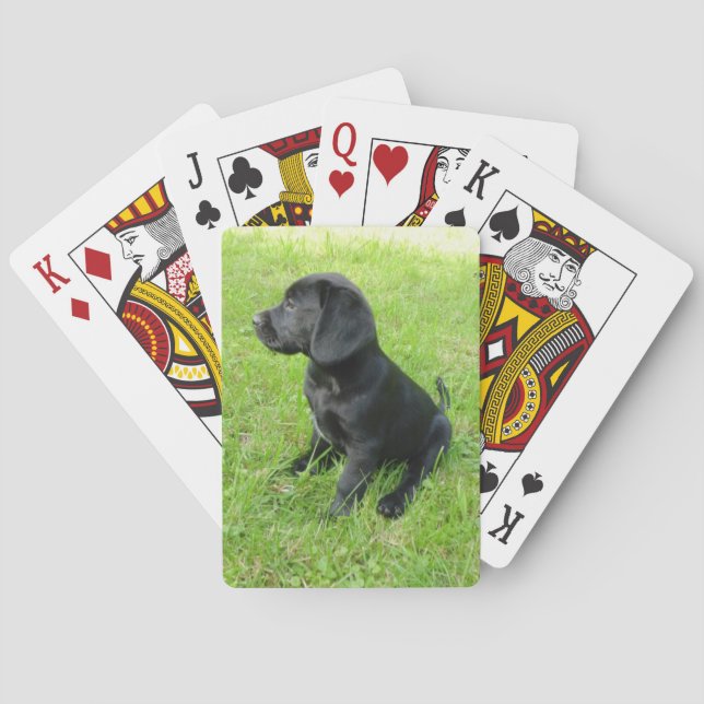 black lab puppy.png playing cards (Back)