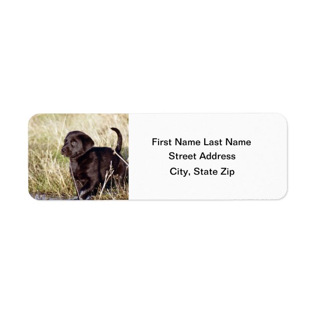 Black Lab Puppy Return Address Label (Front)