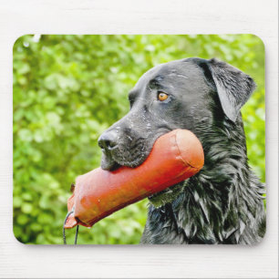 black lab retrieving mouse pad