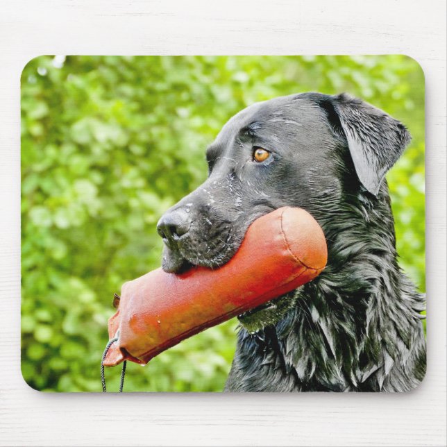 black lab retrieving mouse pad (Front)