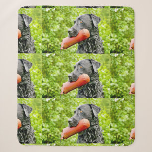 black lab retrieving sherpa blanket