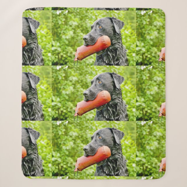 black lab retrieving sherpa blanket (Front)