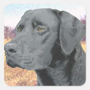 Black Lab Square Sticker