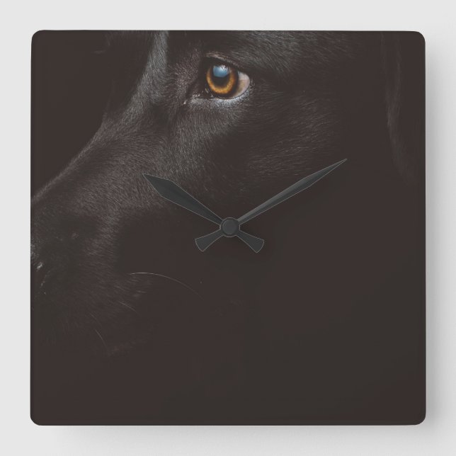 black lab square wall clock (Front)