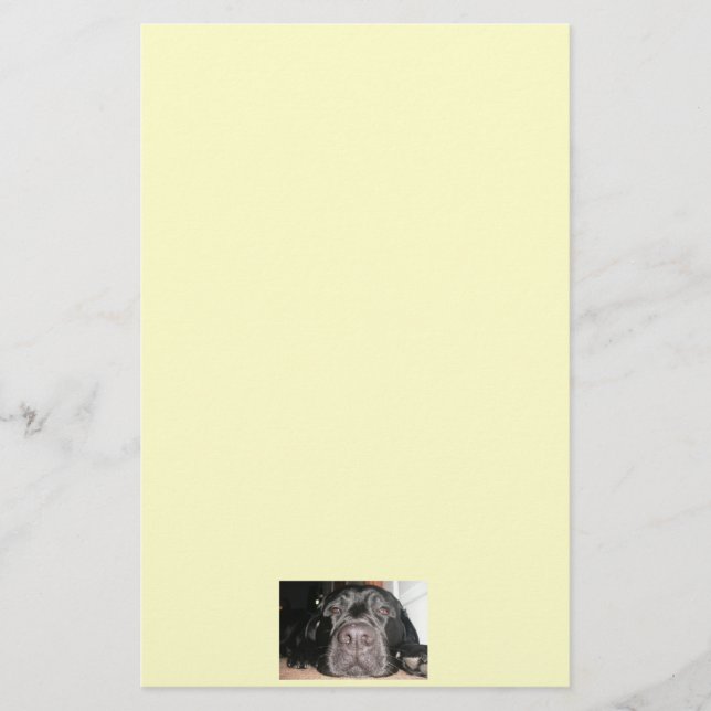Black Lab Stationary Stationery (Front)