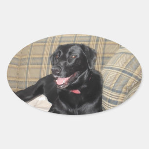 Black Lab Sticker