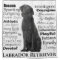Black Lab Traits Shower Curtain