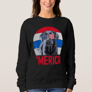 Black Lab Usa American Flag 4th Of July Pride Patr Sweatshirt