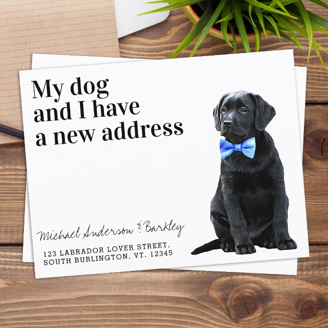 Black Lab We've Moved New Address Dog Moving Annou Postcard (Creator Uploaded)