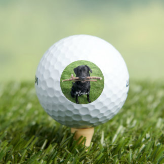 Black Lab with two sticks Dog Personalised  Golf Balls