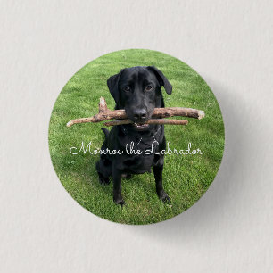 Black Lab with two sticks Dog Photo and Name 3 Cm Round Badge