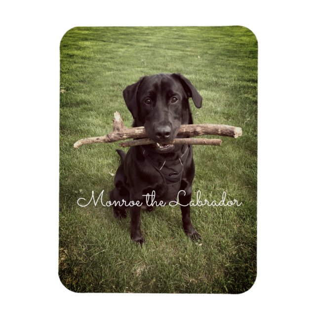 Black Lab with two sticks Dog Photo and Name Magnet (Vertical)