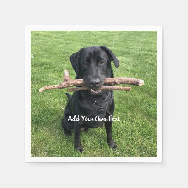 Black Lab with two sticks Dog Photo and Name Napkin (Front)