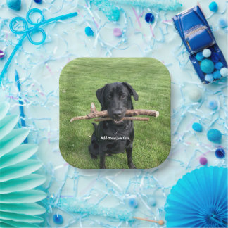 Black Lab with two sticks Dog Photo and Name Paper Plate