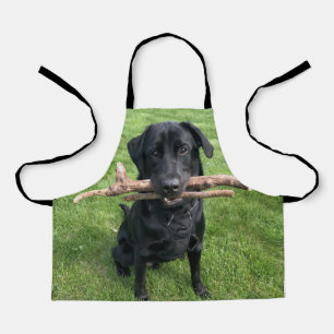Black Lab with two sticks Dog Photo Apron