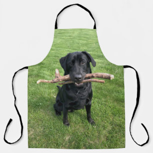 Black Lab with two sticks Dog Photo Apron