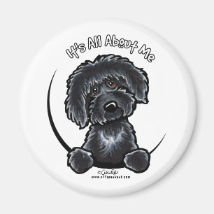 Black Labradodle IAAM Magnet