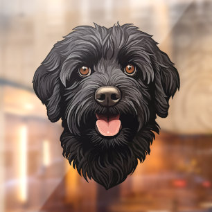 Black Labradoodle Dog