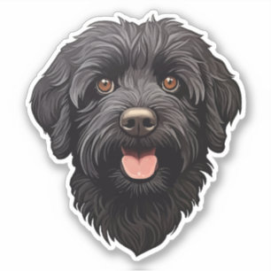 Black Labradoodle Dog