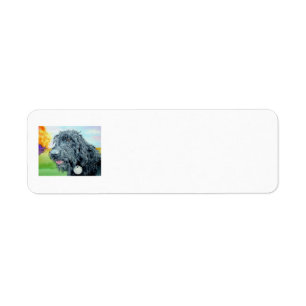Black Labradoodle Return Address Label