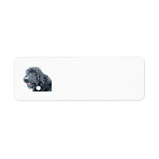 Black Labradoodle Return Address Label