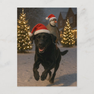 Black Labrador and Partridge Christmas postcard