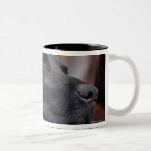 Black labrador asleep on sofa, close-up Two-Tone coffee mug