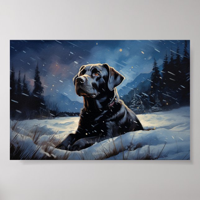 Black Labrador at winter night Poster (Front)