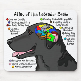 Black Labrador Brain Atlas Mouse Pad
