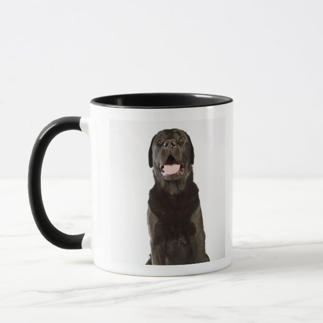 Black Labrador (Canis familiaris), panting, Mug (Left)