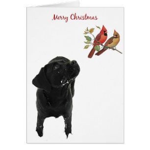 Black Labrador Christmas Card