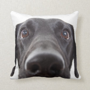 Black Labrador Closeup Portrait Cushion