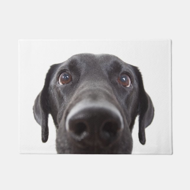 Black Labrador Closeup Portrait Doormat (Front)