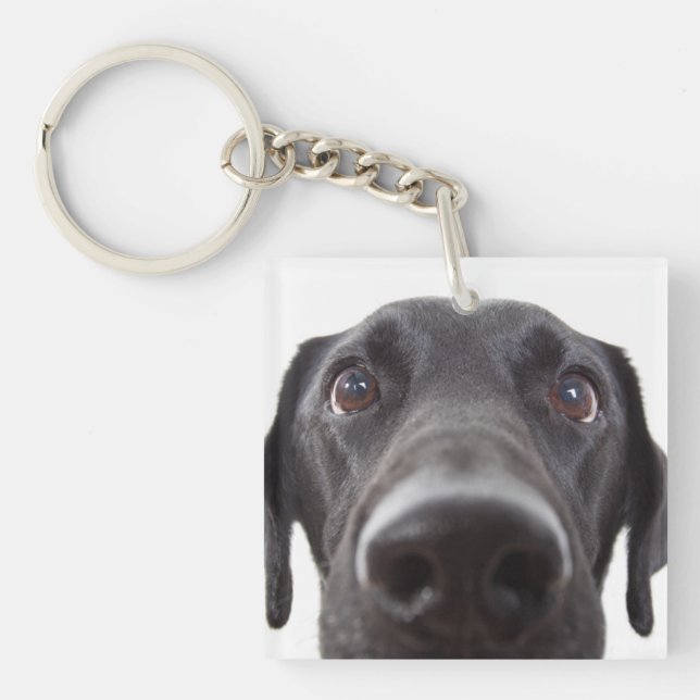 Black Labrador Closeup Portrait Key Ring (Front)