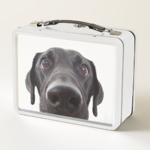 Black Labrador Closeup Portrait Metal Lunch Box