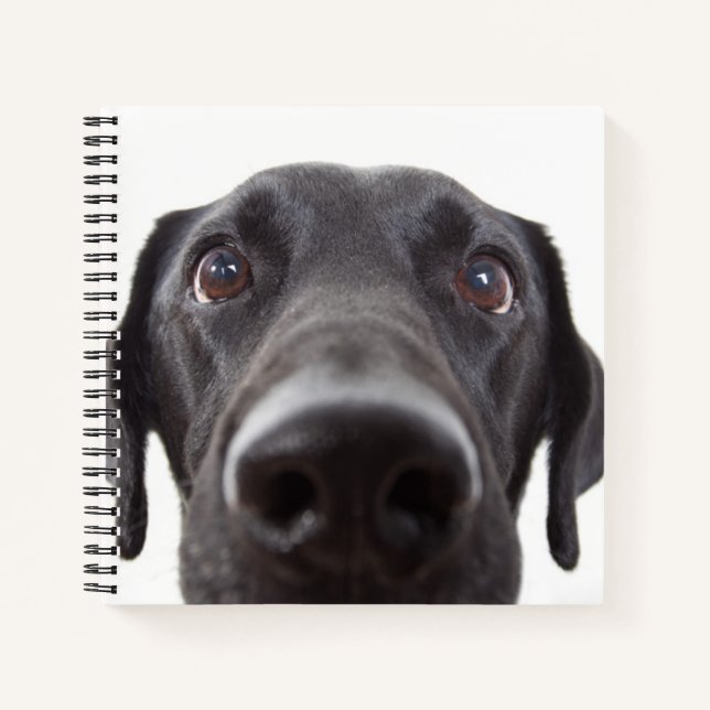 Black Labrador Closeup Portrait Notebook (Front)