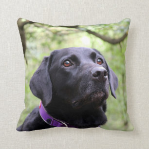 Black Labrador Cushion