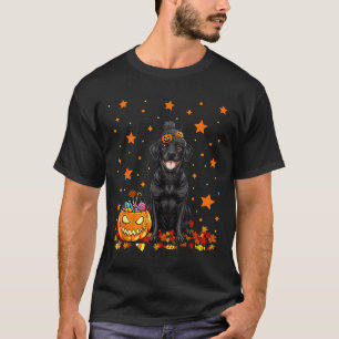 Black Labrador Dog And Pumpkin Candy Funny T-Shirt