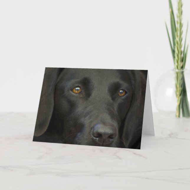 Black Labrador Dog Card (Front)