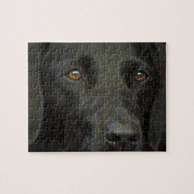 Black Labrador Dog Jigsaw Puzzle (Horizontal)