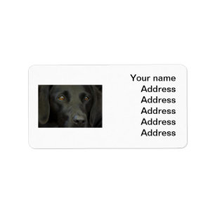 Black Labrador Dog Label