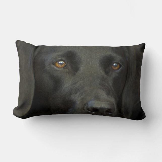 Black Labrador Dog Lumbar Cushion (Front)
