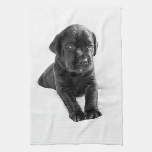 Black labrador dog puppy tea towel