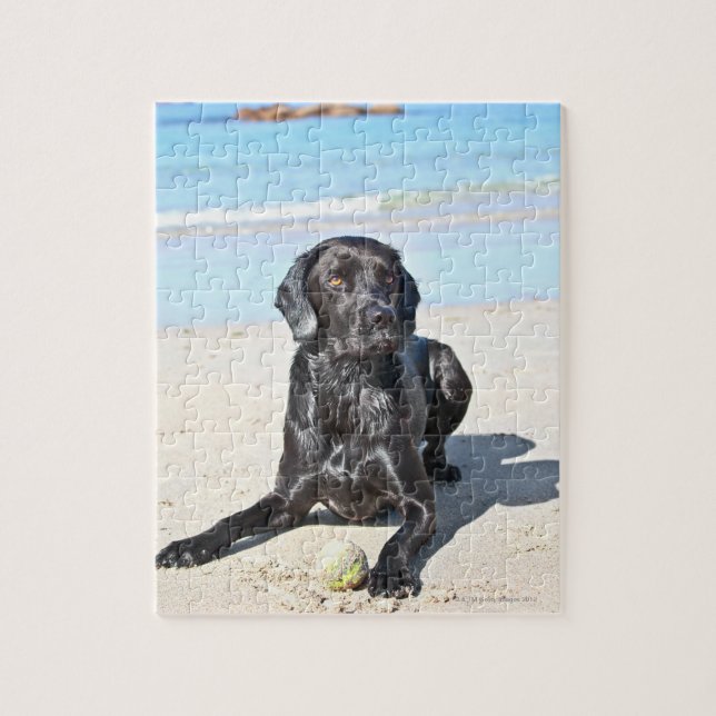 Black Labrador Dog sitting on the Beach Jigsaw Puzzle (Vertical)