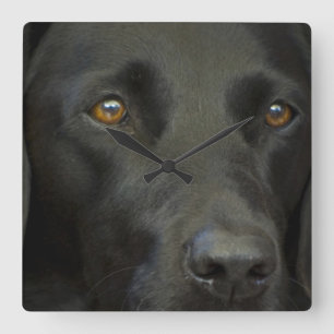 Black Labrador Dog Square Wall Clock