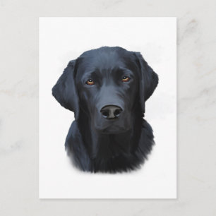 Black Labrador Dog Water Colour Art Painting Postcard